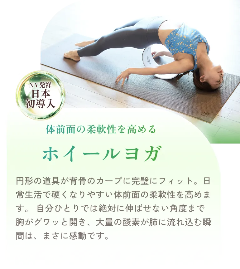 体前面の柔軟性を高める ホイールヨガ 円形の道具が背骨のカーブに完璧にフィット。日常生活で硬くなりやすい体前面の柔軟性を高めます。 自分ひとりでは絶対に伸ばせない角度まで胸がグワッと開き、大量の酸素が肺に流れ込む瞬間は、まさに感動です。